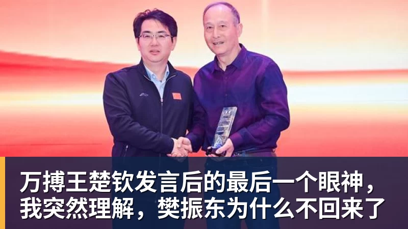 万搏王楚钦发言后的最后一个眼神,我突然理解,樊振东为什么不回来了